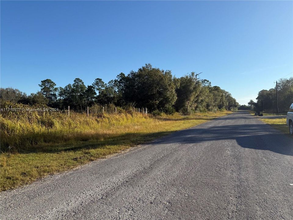 For Sale: $54,999 (1.25 acres)