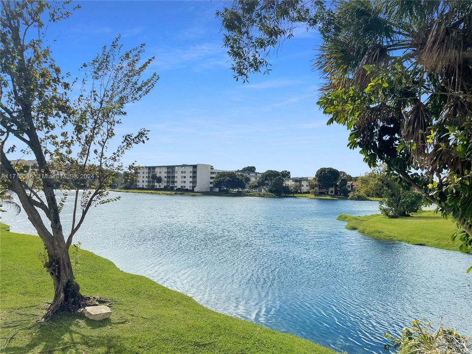 view from pool area