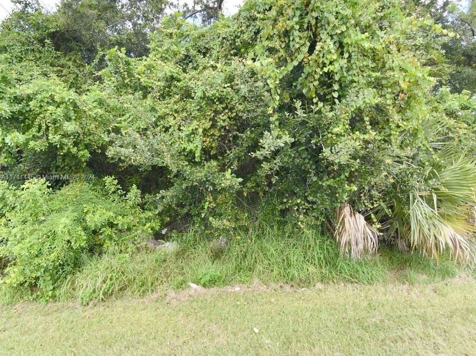 En Venta: $161,999 (0.30 acres)