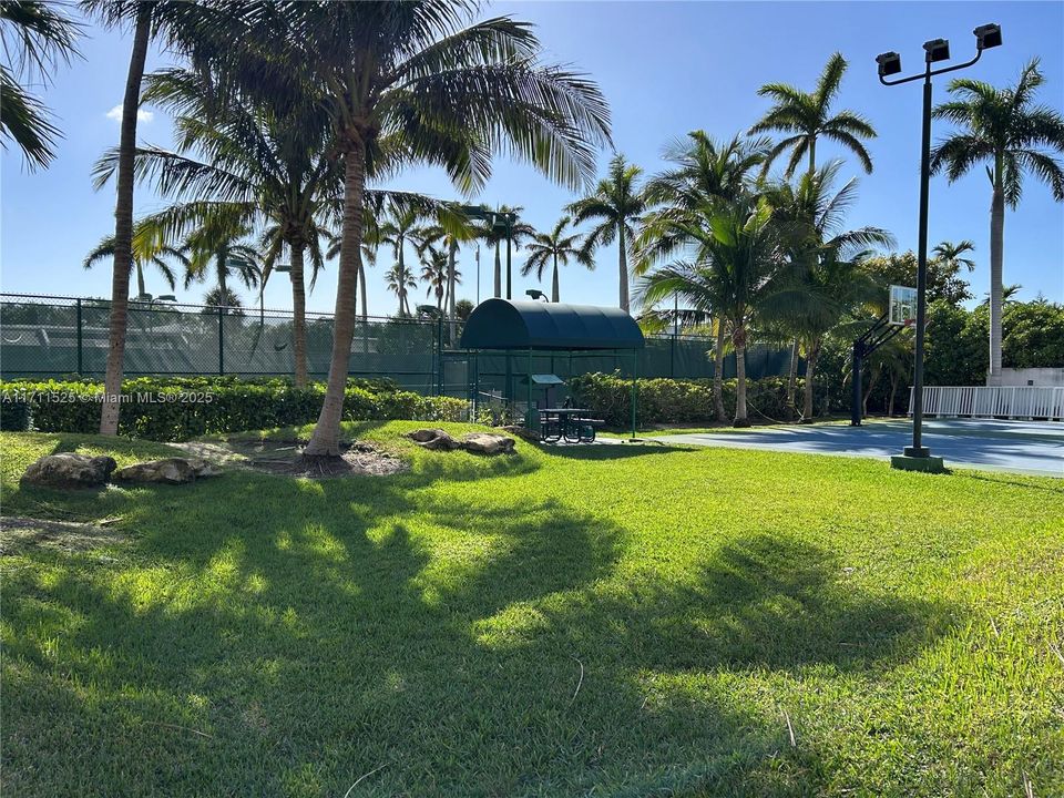 Tennis & basketball/volleyball courts