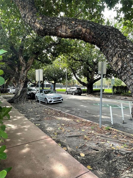 On Street Parking