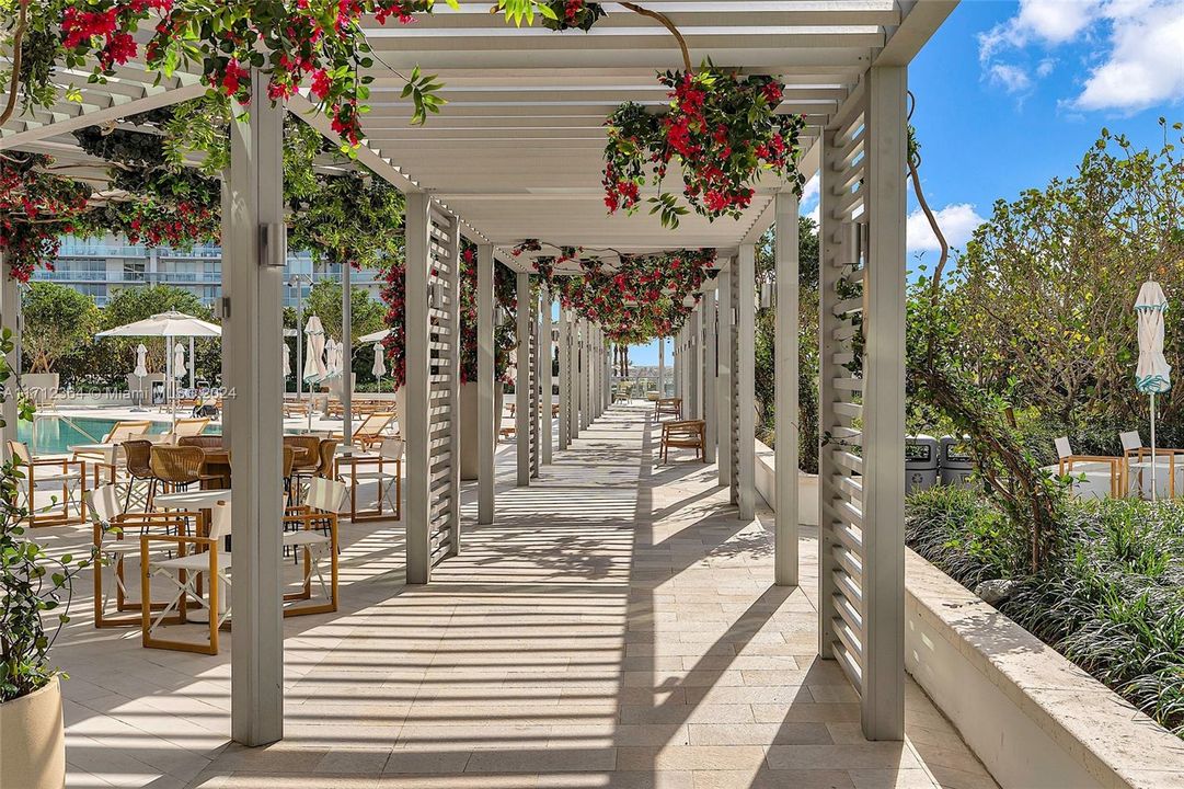 main pool deck and garden