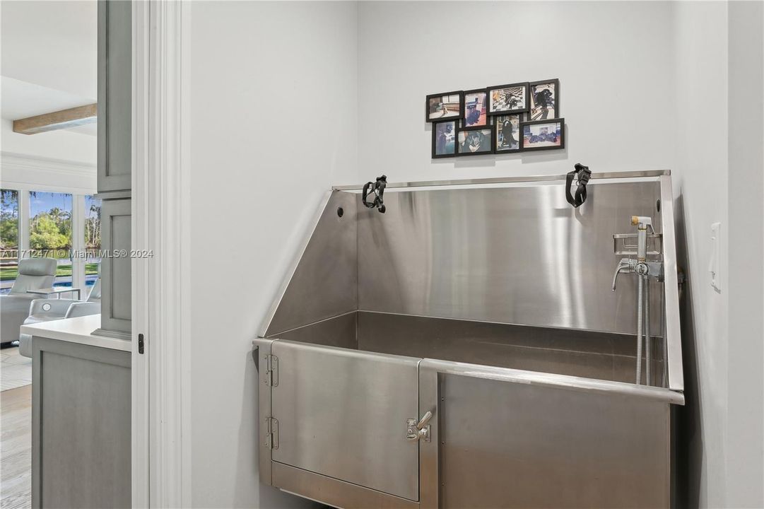 Doggie Shower in Laundry Room