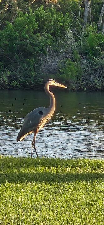 Recently Sold: $2,600,000 (3 beds, 2 baths, 2099 Square Feet)