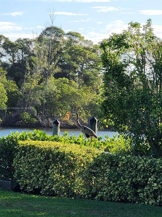 Recently Sold: $2,600,000 (3 beds, 2 baths, 2099 Square Feet)