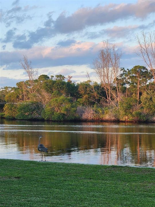 Recently Sold: $2,600,000 (3 beds, 2 baths, 2099 Square Feet)