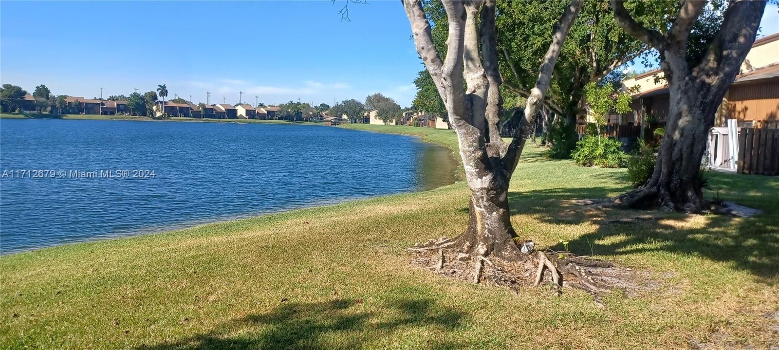 Backyard View