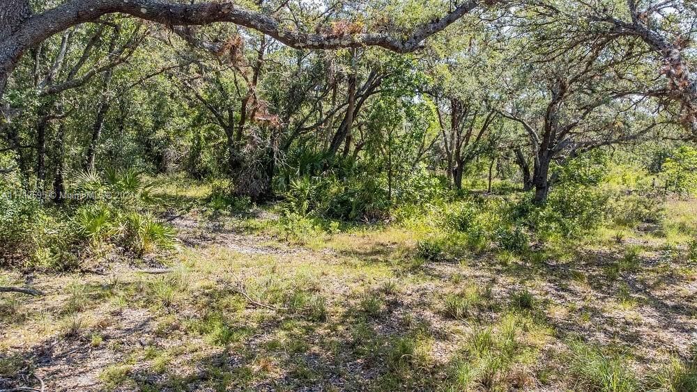 For Sale: $625,000 (25.00 acres)