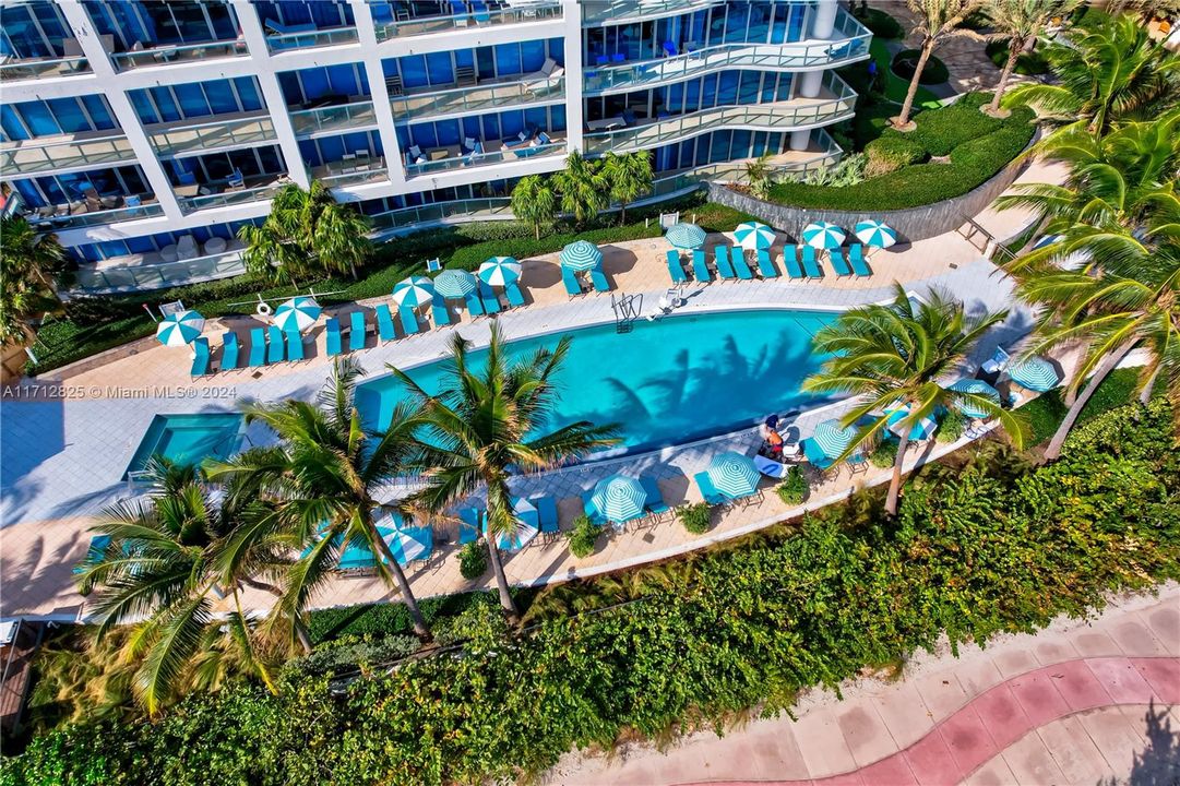 One of 4 sparkling swimming pools at Iconic Carillon Miami Wellness Resort; a former Canyon Ranch Spa.