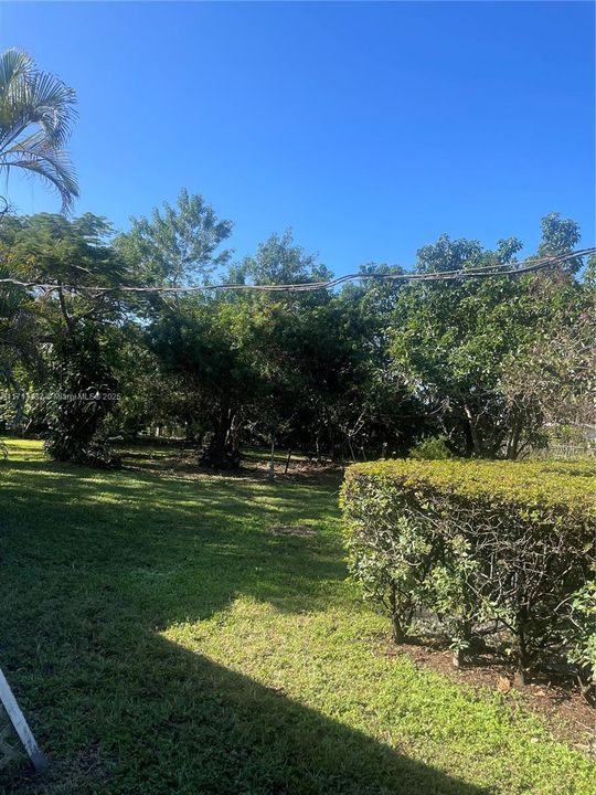 BEAUTIFUL YARD SPACE