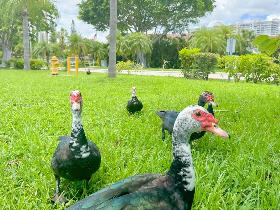 Community Residences.