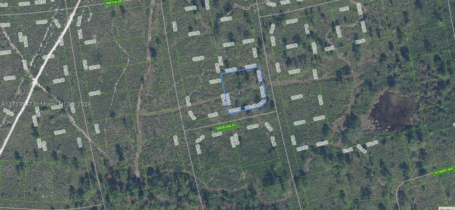 For Sale: $12,900 (0.37 acres)