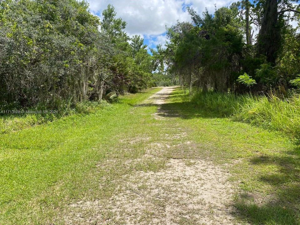 Walk through the wooded area.