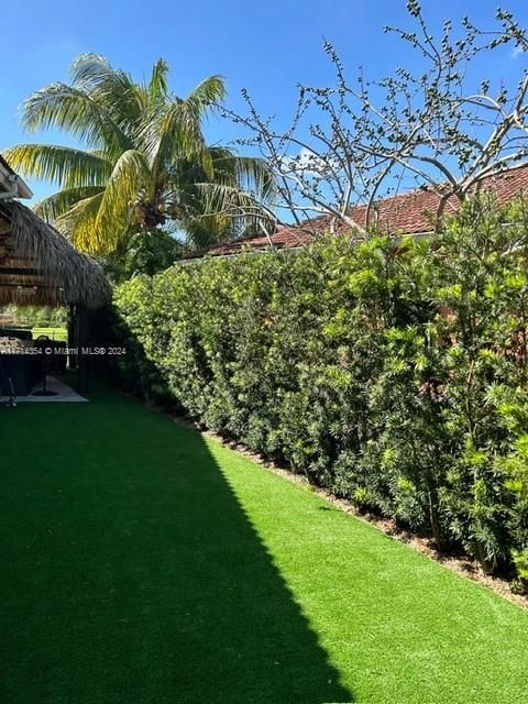 Privacy hedge w/no maintenance turf