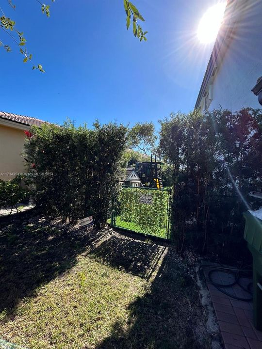 Privacy hedge and gate to back yard.