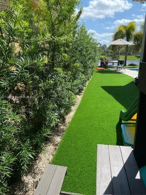 No maintenance turf on side yard