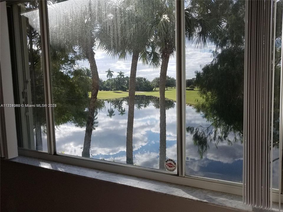 MASTER BEDROOM WINDOW