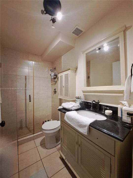 Owner's Suite bathroom