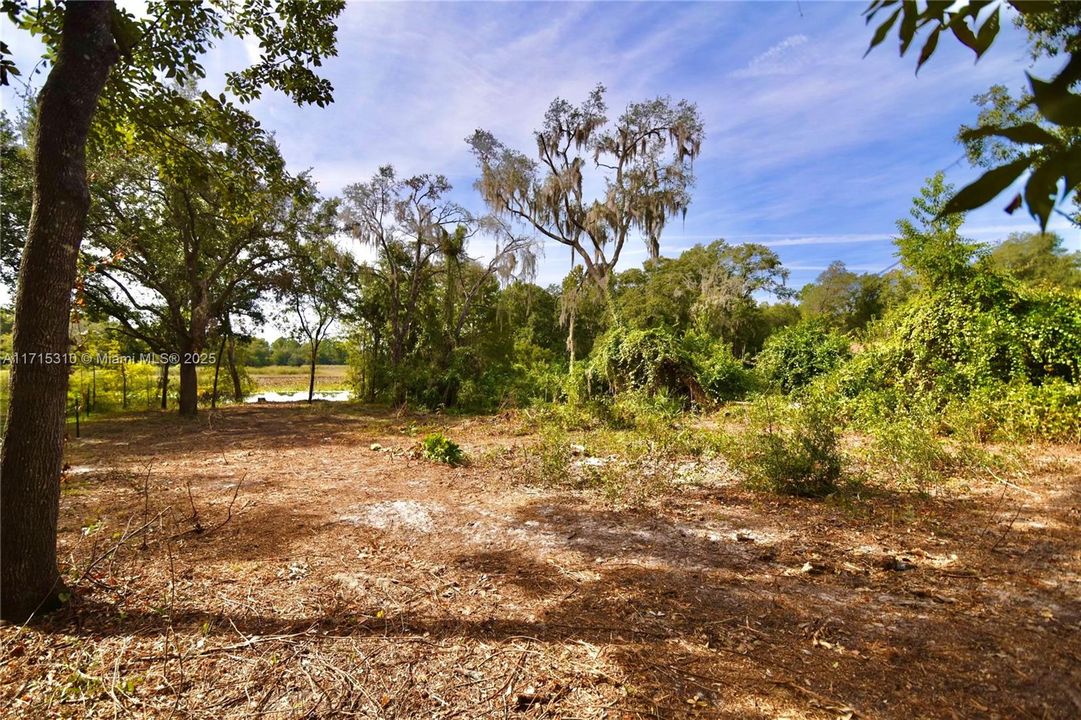 For Sale: $39,000 (0.26 acres)