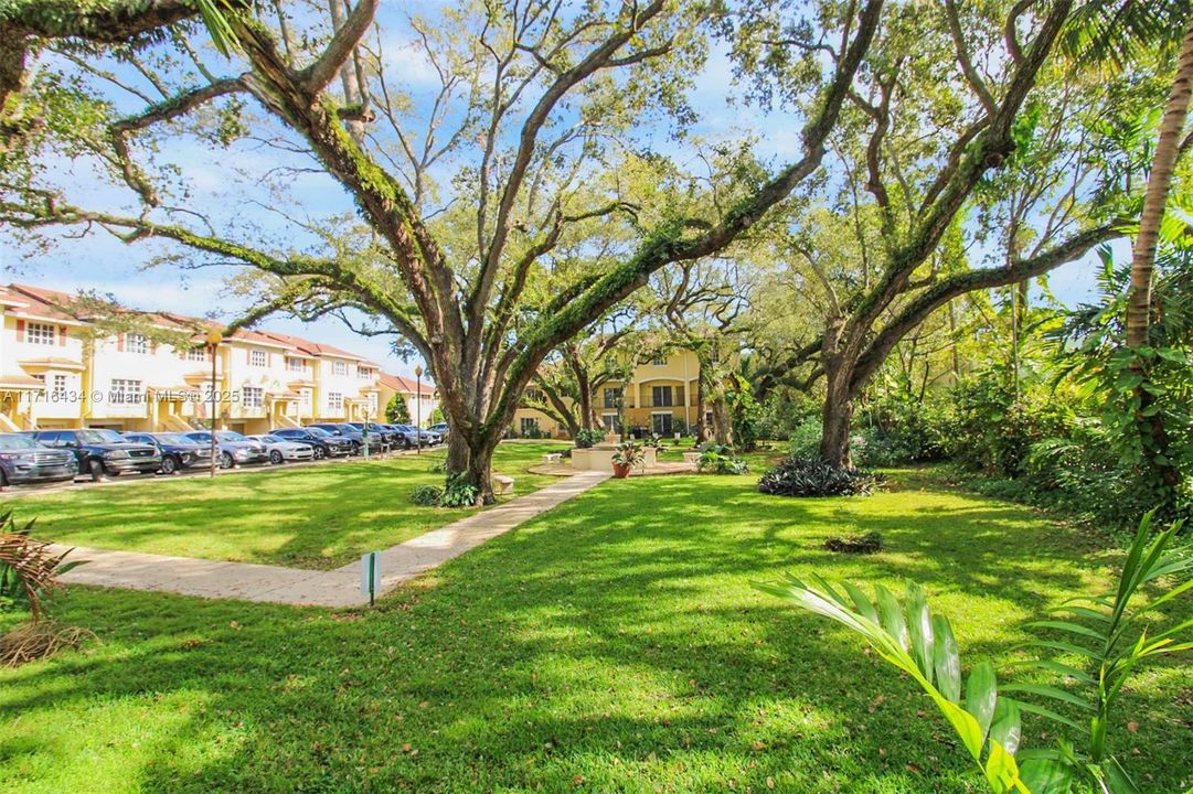 This is your back yard view; the community park.