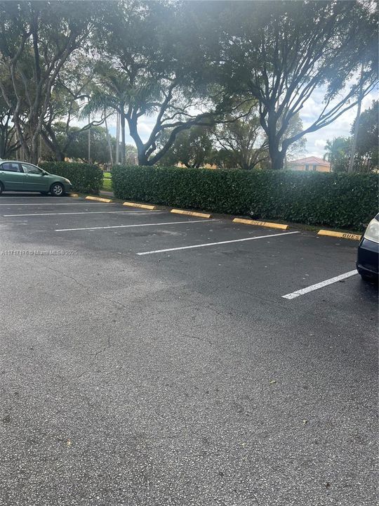 Plenty of Guest Parking Spaces