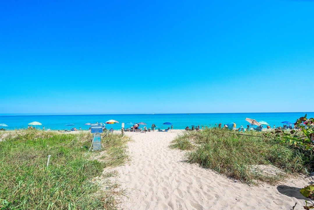 beach