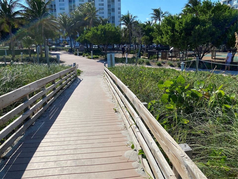 Steps to Miami Beach - north shore