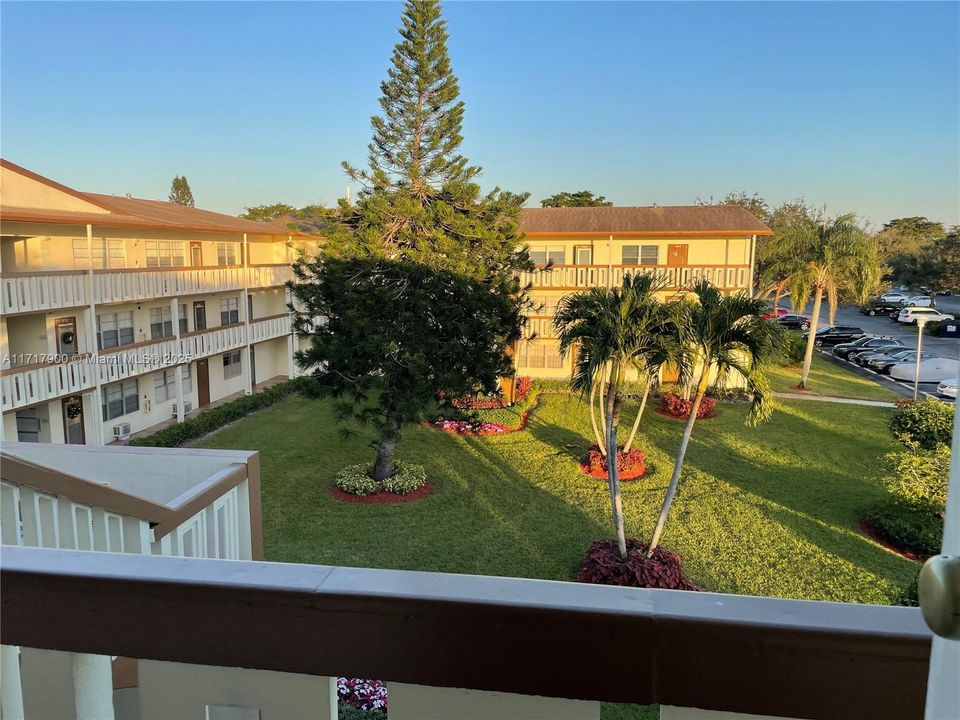 Garden view from unit