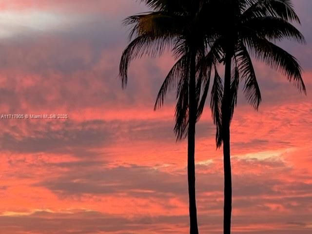 Sunrise on the Boardwalk