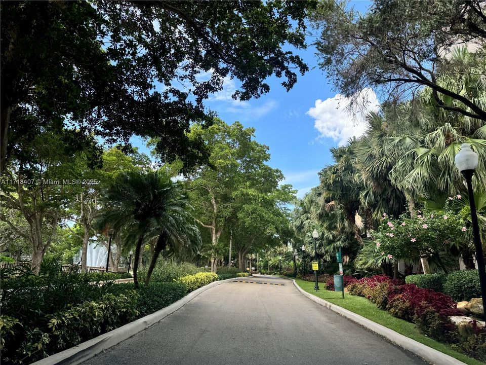 common area treelined streets