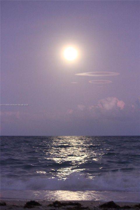 Beach moonrise