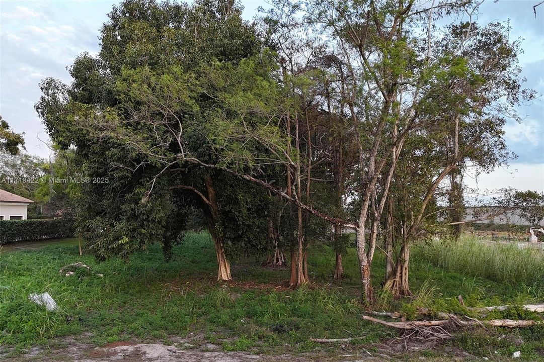 Recently Sold: $999,000 (1.09 acres)