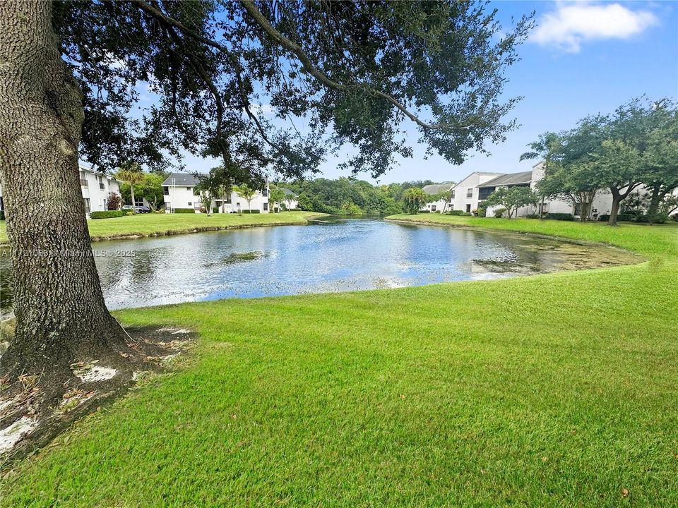 Recently Rented: $2,400 (3 beds, 2 baths, 1093 Square Feet)