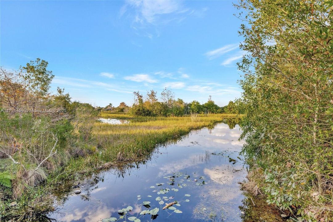 Take a morning walk with your coffee, or afternoon stroll with a favorite drink and meet the friendly neighbors and check out these beautiful views