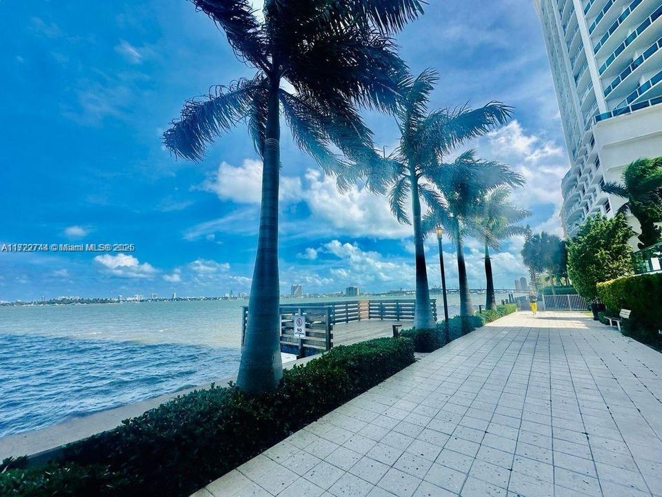 Just half a block from your apartment, you can take a walk by the water, whether alone, with family, or with your pet, while enjoying views of the most luxurious towers in Edgewater.