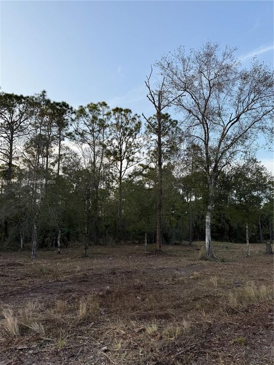 Recently Sold: $59,999 (1.25 acres)