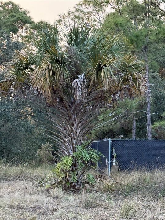 Recently Sold: $59,999 (1.25 acres)