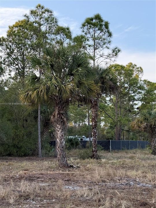 Recently Sold: $59,999 (1.25 acres)