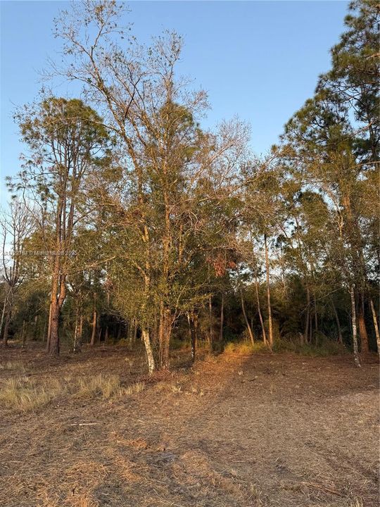 Recently Sold: $59,999 (1.25 acres)