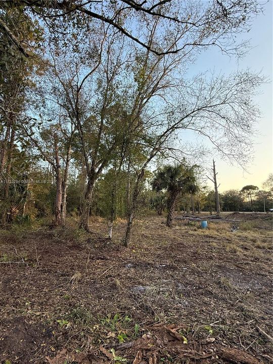Recently Sold: $59,999 (1.25 acres)