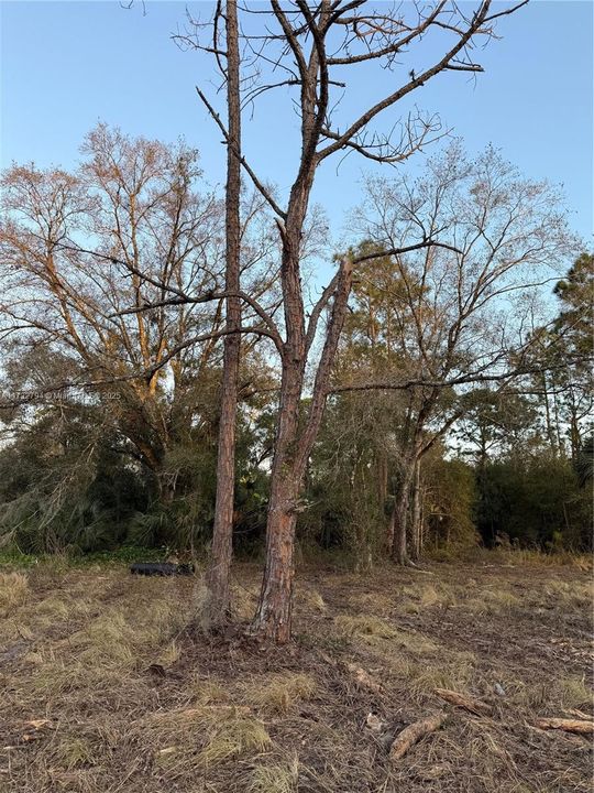 Recently Sold: $59,999 (1.25 acres)