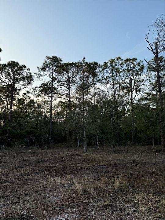 Recently Sold: $59,999 (1.25 acres)