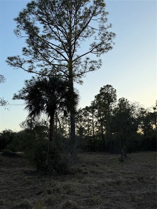 Recently Sold: $59,999 (1.25 acres)