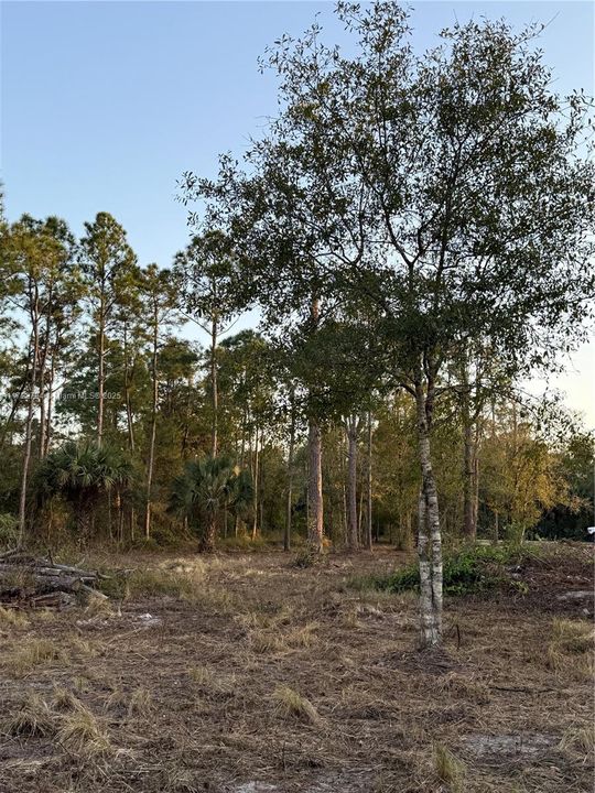 Recently Sold: $59,999 (1.25 acres)