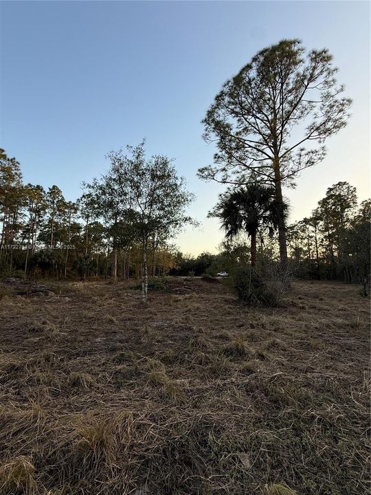 Recently Sold: $59,999 (1.25 acres)
