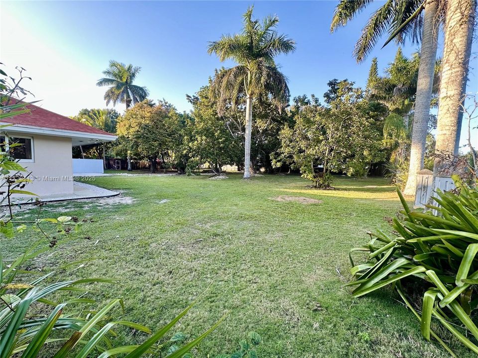 Недавно арендовано: $4,500 (3 спален, 3 ванн, 1872 Квадратных фут)