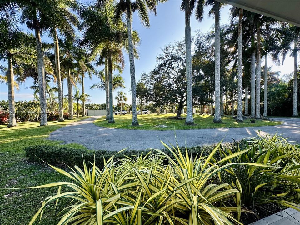 Недавно арендовано: $4,500 (3 спален, 3 ванн, 1872 Квадратных фут)