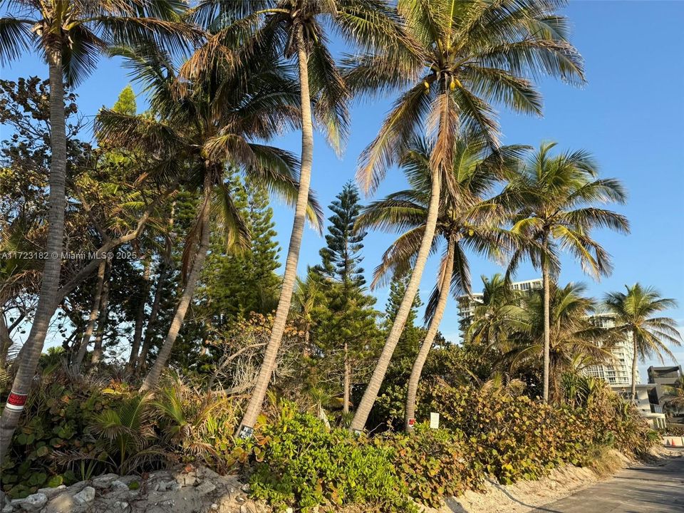 For Sale: $6,750,000 (0.38 acres)