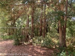 For Sale: $15,900 (0.18 acres)