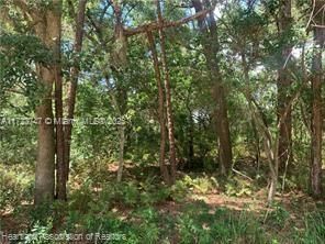 For Sale: $15,900 (0.18 acres)